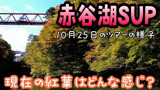 今日の赤谷湖 紅葉SUP 見頃は11月