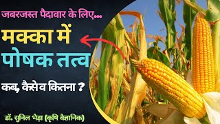 मक्का में फर्टिलाइजर्स कब व कैसे दें ? Fertilizer Management in Corn/ Maize #Maize #urea #dap #ssp