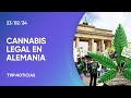 Alemania legalizó la compra y cultivo de Cannabis