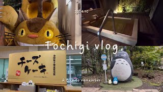 ［vlog］栃木旅行✈️/となりのトトロのぬいぐるみ展/大田原温泉