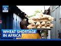 Wheat Shortage Looms In Africa, Somalia Drought + More | Network Africa