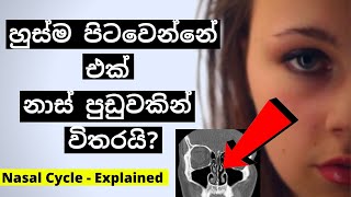 සෙම්ප්‍රතිශ්‍යාව හැදුනාම එක් නාස් පුඩුවක් විතරක් හිරවෙන්නේ ඇයි? | Nasal Cycle Explained | Mr. Doctor