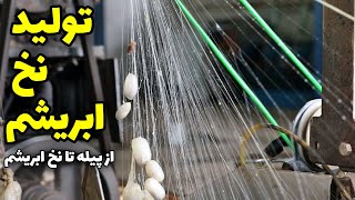 کارخانه تولید نخ ابریشم | از پیله کرم ابریشم تا تولید نخ ابریشم