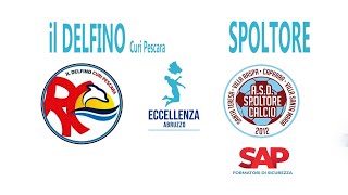 Eccellenza: Il Delfino Curi Pescara - Spoltore 0-2