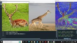 Tutorial 7- Image Blending | Image Processing Course | Computer Vision