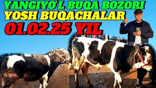 YANGIYOʻL MOL BOZORIDA YOSH BUQACHALAR SOTILADI 🦬🐂🐂