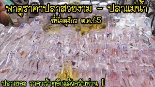 พาดูราคาปลาแม่น้ำปลาสวยงาม สัตว์ต่างๆ เดินทุกโซน .. ราคาเร้าๆอีกแล้วครับท่าน ต.ค.65 ที่นี่จตุจักร