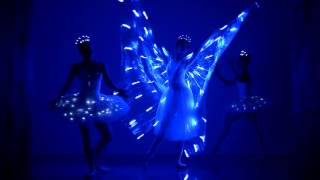 LED Butterfly Ballerina - Sophie Adams Ballet Company