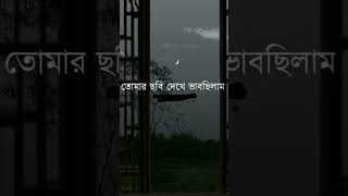 আজ অনেকদিন পর তোমার ছবি দেখে ভাবছিলাম তুমি কি সেই যাকে আমি ভালোবেসে ছিলাম #shorts