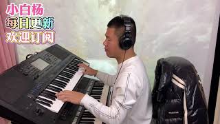 小白杨【电子琴演奏】keyboard music