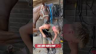 The bond between farrier and horse 🔐 #explore #farrier #satisfying #funny #love #youtubeshorts #fyp