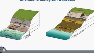 Webinar ShoreZone 101: How to Use the ShoreZone Coastal Imagery and Mapping Dataset