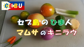 セブ島 現地ローカル生活 マムサのキニラウ Mamsa ng Kinilaw