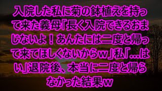 【スカッとする話】入院した私に菊の鉢植えを持って来た義母「長く入院できるおまじないよ！あんたには二度と帰って来てほしくないからｗ」私「…はい」退院後、本当に二度と帰らなかった結果ｗ【修羅場】