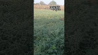 જય જવાન 🌿🌾 જય કિસાન ખેડૂત પુત્ર