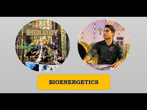 Bioenergetics | Lecture 1 | Introduction To Bioenergetics | Reactant ...