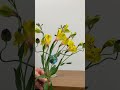 ワイングラスに簡単お洒落に飾る 生け花 shorts asmr flowers flowermaking