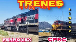 ¡¡¡El tren de CPKCM y FERROMEX así pasaron #videos #trenes #train #mexicanos #velocidad