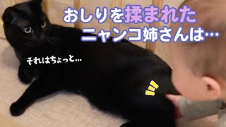 赤ちゃんにおしりを触られて…｜PECO