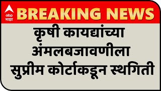 Farmers Protest | कृषी कायद्यांच्या अंमलबजावणीला सुप्रीम कोर्टाकडून स्थगिती; शेतकऱ्यांना काय वाटतं?