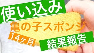 使い込み後（14ヶ月）の亀の子スポンジレビュー