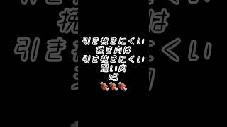 【あんこの早口言葉チャレンジ　引き抜きにくい挽き肉は引き抜きにくい温い肉🍖】