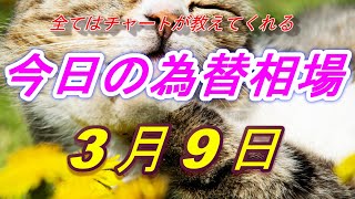 【FX】ドル、円、ユーロ、ポンド、豪ドルの為替相場の予想と前日の動きをチャートから解説。3月9日