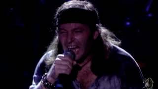 Vasco Rossi - Vivere (Live 1993)