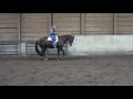 gotta hot shot trot aqha 2007 gelding for sale