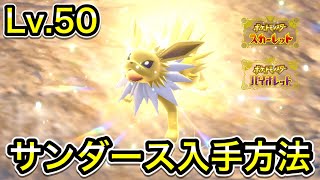 【ポケモンSV】サンダースの入手方法！野生テラスタルの出現場所【ブイズ】