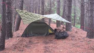 TENT camping in HEAVY RAIN with my dog