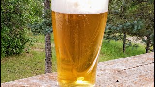 Want to make your own BUD LIGHT for cheap?
