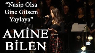 Amine Bilen - Nasip Olsa Gine Gitsem Yaylaya | Sazın ve Sözün Sultanları Halk Ozanları Konseri