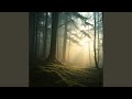 Quiet