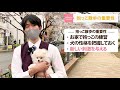 【ワクチン前でも大丈夫！】子犬の散歩はいつから！？ドッグトレーナーが解説します！