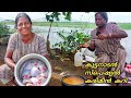 കുട്ടനാടന്‍ സ്പെഷ്യൽ കരിമീന്‍ കറി|Earth Lovers Media |Real life vlog |traditional cooking