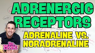 Adrenergic Receptors | Adrenaline vs. Noradrenaline