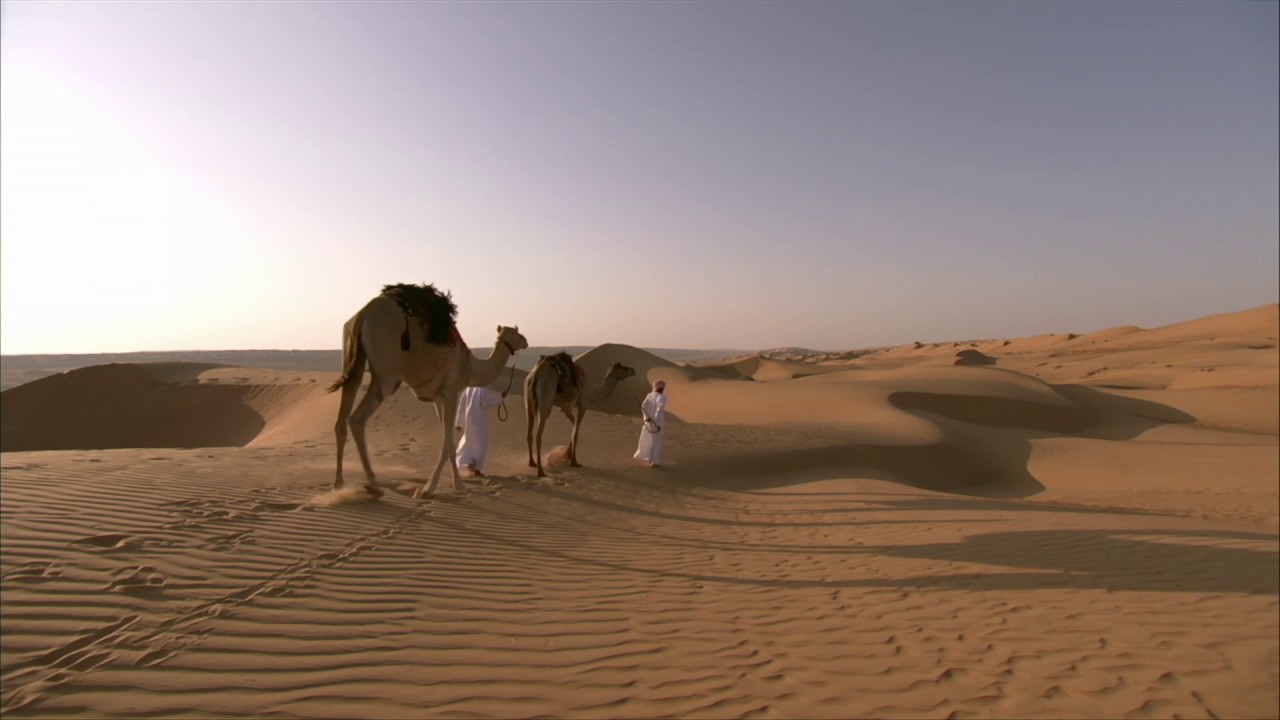 Sand Wind And Camel 5 Youtube