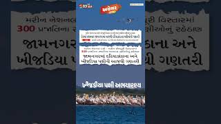 #અગ્રેસર_ગુજરાત | 03-01-2025