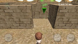 3D Maze (The Labyrinth)