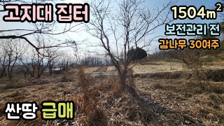 (매물번호13882) 4900만원 상주부동산 1504㎡(455) 상주땅 상주토지매매매물 시골땅 촌땅 소액 싼땅 급매 주말농장 전원주택지 대전땅 보은부동산 청주땅 문경땅 옥천부동산