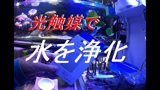 [海水魚水槽]　新技術アンモニア/亜硝酸除去プレートで楽々飼育