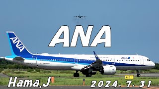 今日のＡＮＡさん（午後）（米子空港）２０２４，７，３１