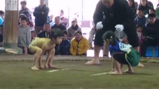 2018.3.11　かしわ少年相撲交流会　幼児の部(年長以下、げん年中)　３位　