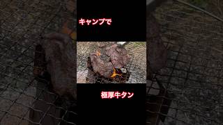 キャンプで極厚牛タン焼いてみた #shorts #キャンプ #キャンプ飯 #庭キャンプ #牛タン #肉#