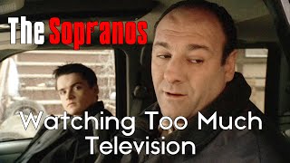 The Sopranos: "Watching Too Much Television"