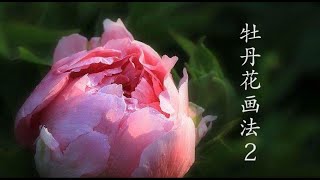 慢步骤画牡丹_牡丹花画法_Chinese Painting_Peony Painting / Peinture chinoise_Comment peindre des pivoines?