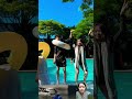 一起来玩水 抖音潮流舞蹈地图 toooobusy funny shorts ytshorts kpopdance fashiontrends baby