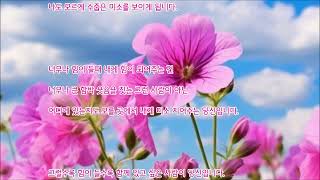 ♣  영상시  ♣   ◈  고운 미소를 가진 당신  ◈