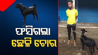 Goat thief nabbed by villagers in Odisha’s Balasore